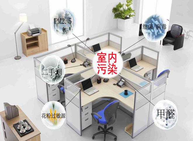 什么植物吸收甲醛最好？寻找甲醛”克星“