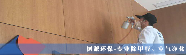 树派环保-金融机构除甲醛