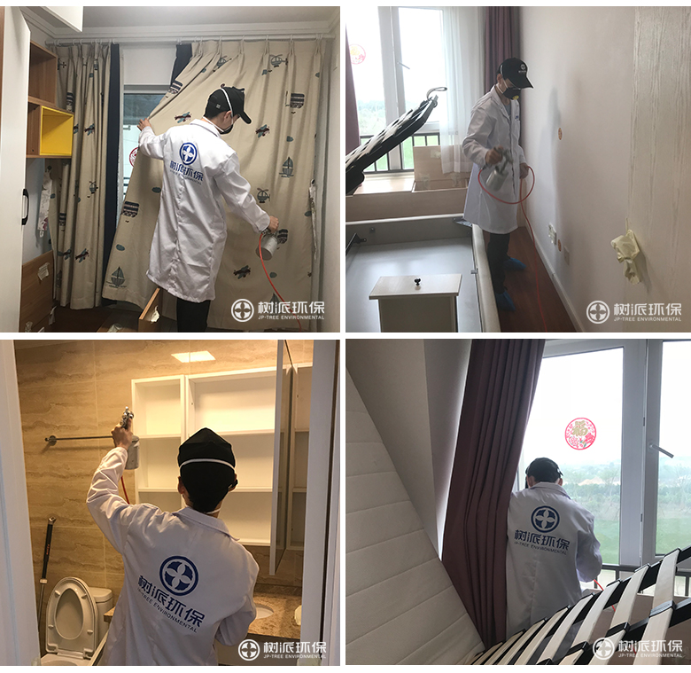 武汉除甲醛-树派环保室内空气治理-杭州-金辰之光