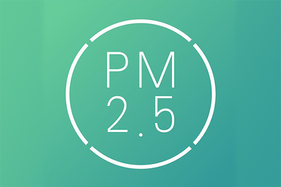 细颗粒物（PM2.5）