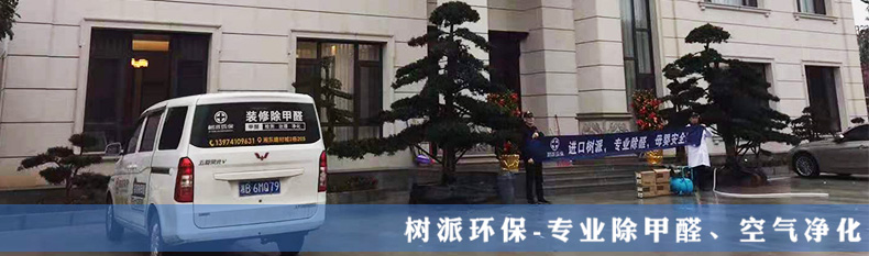 除甲醛公司树派环保湖南株洲-别墅治理.jpg