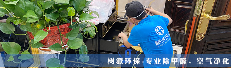 头图.jpg