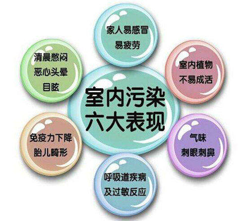 除甲醛公司c.jpg