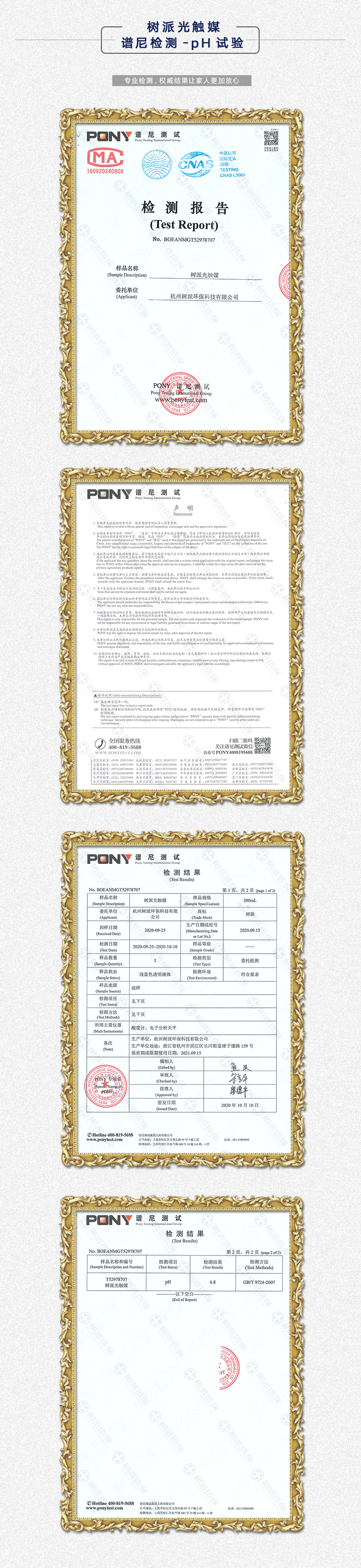 网站详情.jpg
